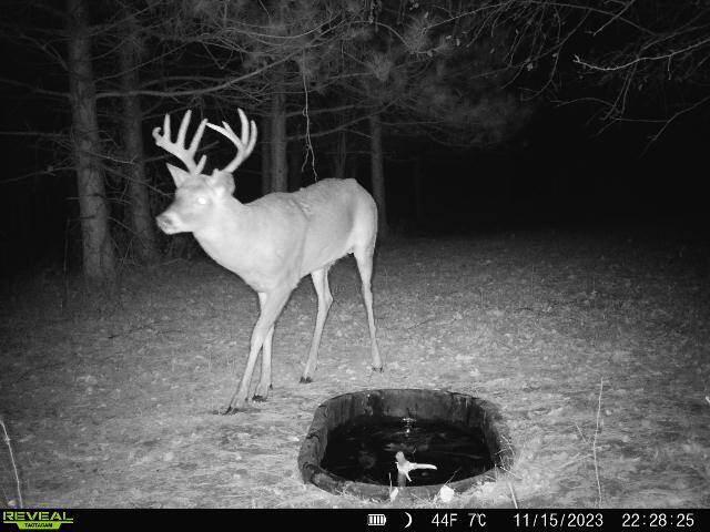 N39974 GAVEL Hale WI 54773 1865844 image1