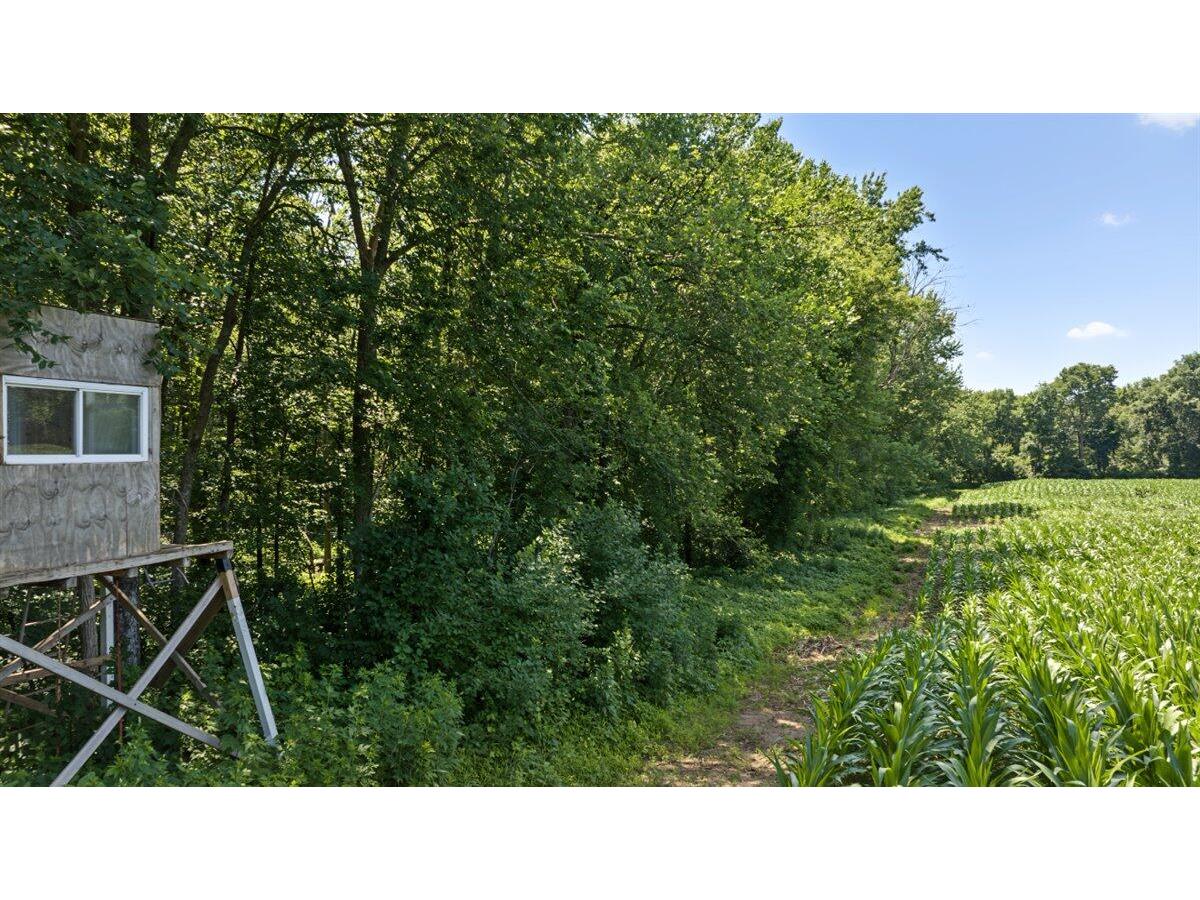 N4016 State Highway 54 Irving WI 54615 - BLACK RIVER 1970147 image63
