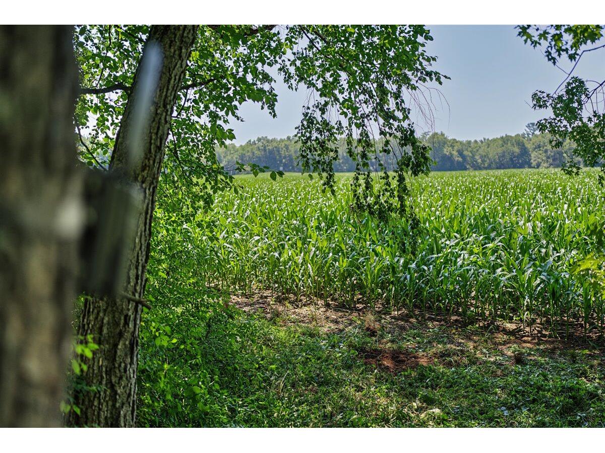 N4016 State Highway 54 Irving WI 54615 - BLACK RIVER 1970147 image67