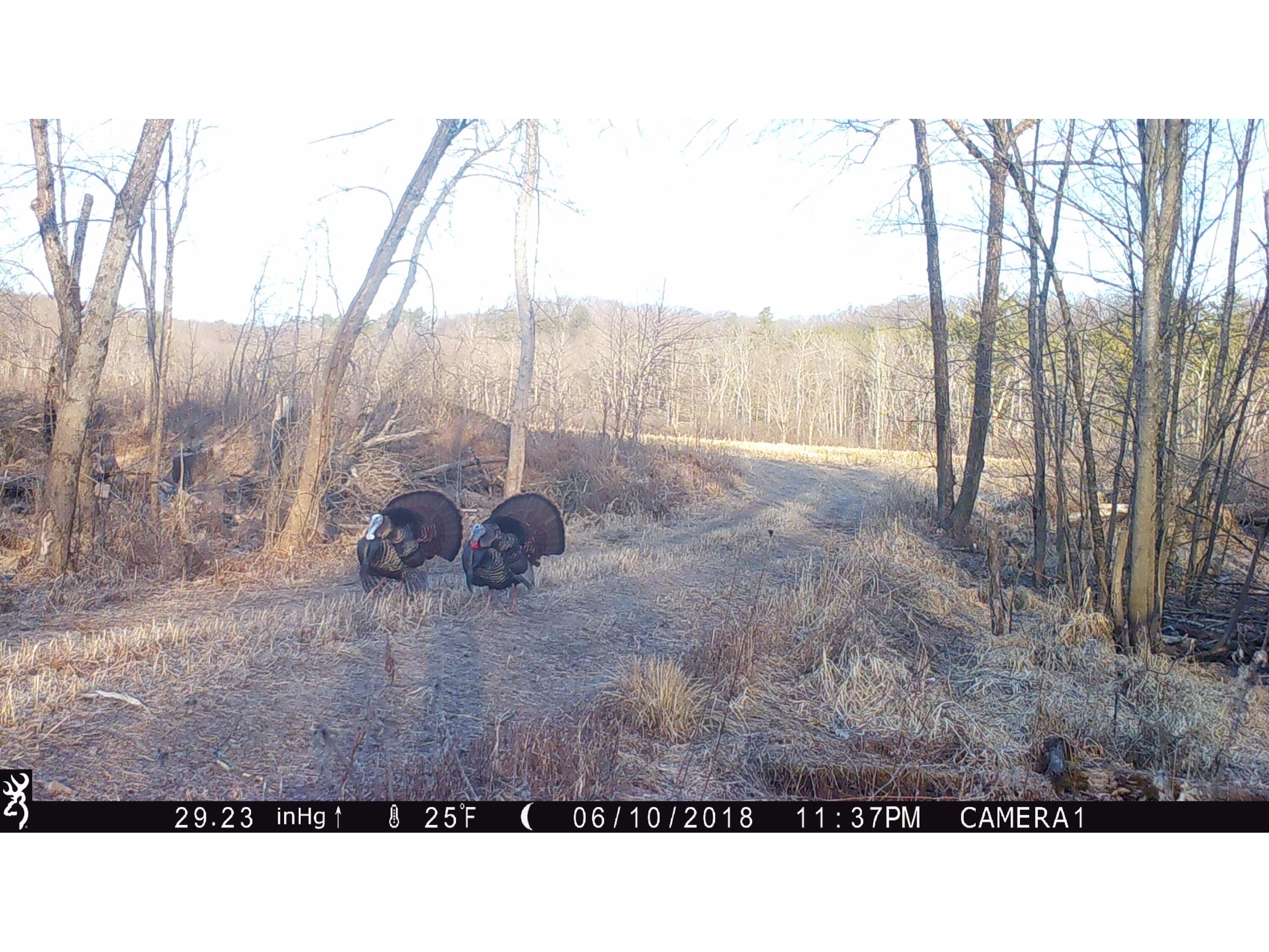 N4016 State Highway 54 Irving WI 54615 - BLACK RIVER 1970147 image87