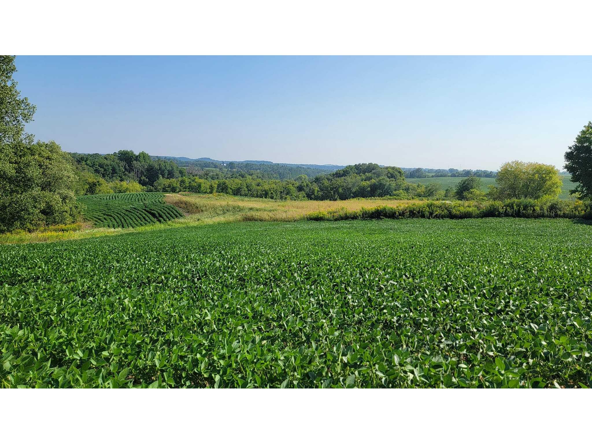 N4127 Klipstein Plymouth WI 53929 1848124 image1