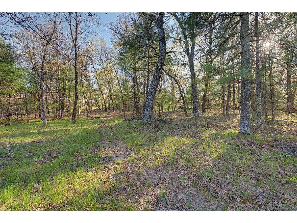 N4507 Potter Knapp WI 54666 1962562 image19
