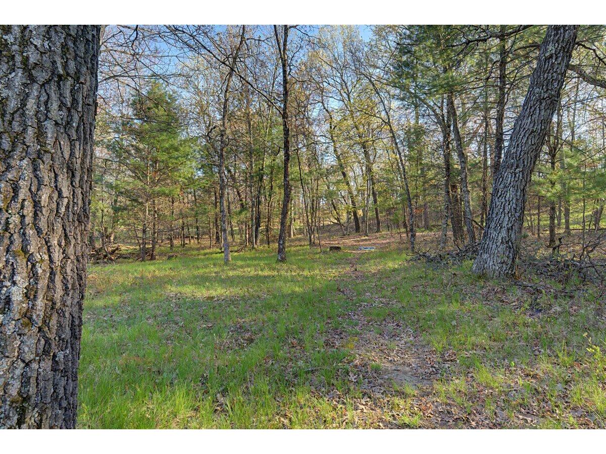 N4507 Potter Knapp WI 54666 1962562 image20