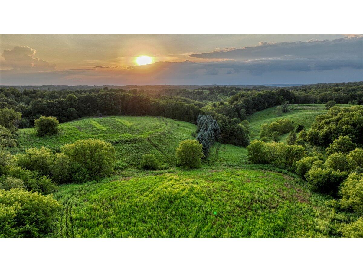 0 ORANGE Springfield WI 54659 1886678 image1