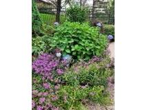 N6061 Summerglow Onalaska WI 54650 1941153 image34