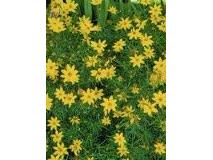 N6061 Summerglow Onalaska WI 54650 1941153 image35