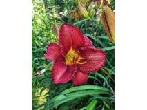 N6061 Summerglow Onalaska WI 54650 1941153 image37