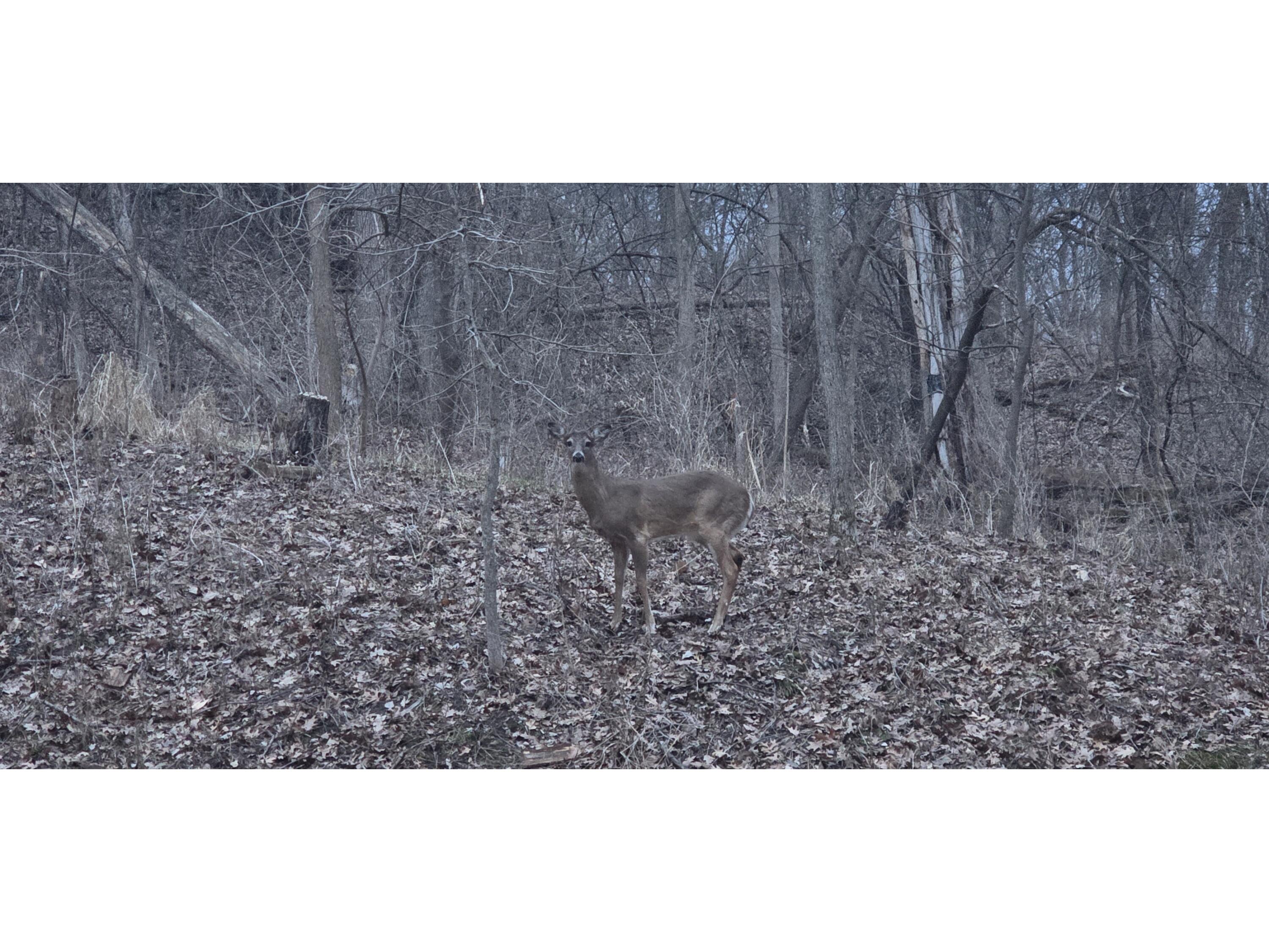 N6316 Three Party Onalaska WI 54636 1963291 image31