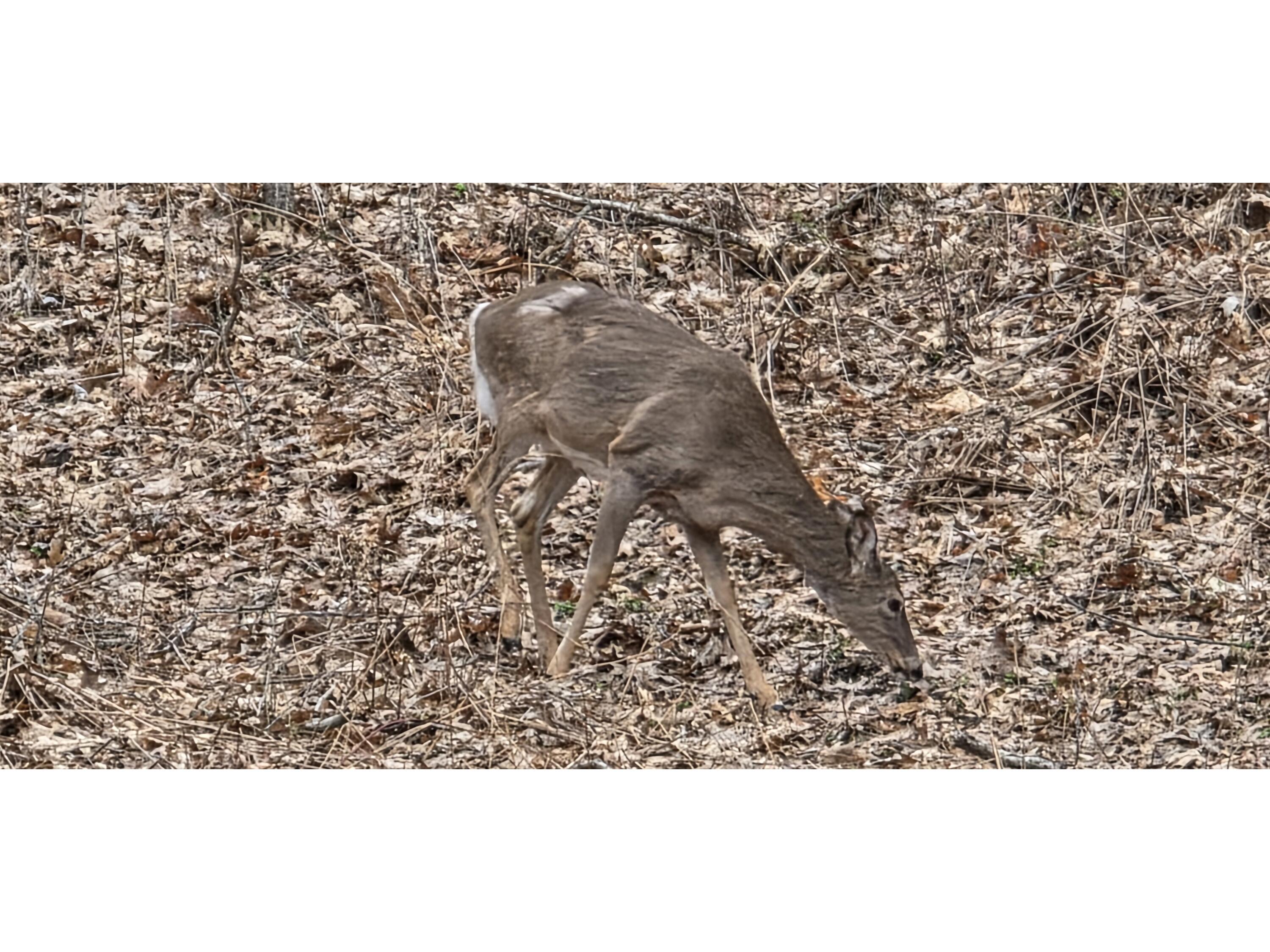 N6316 Three Party Onalaska WI 54636 1963291 image32