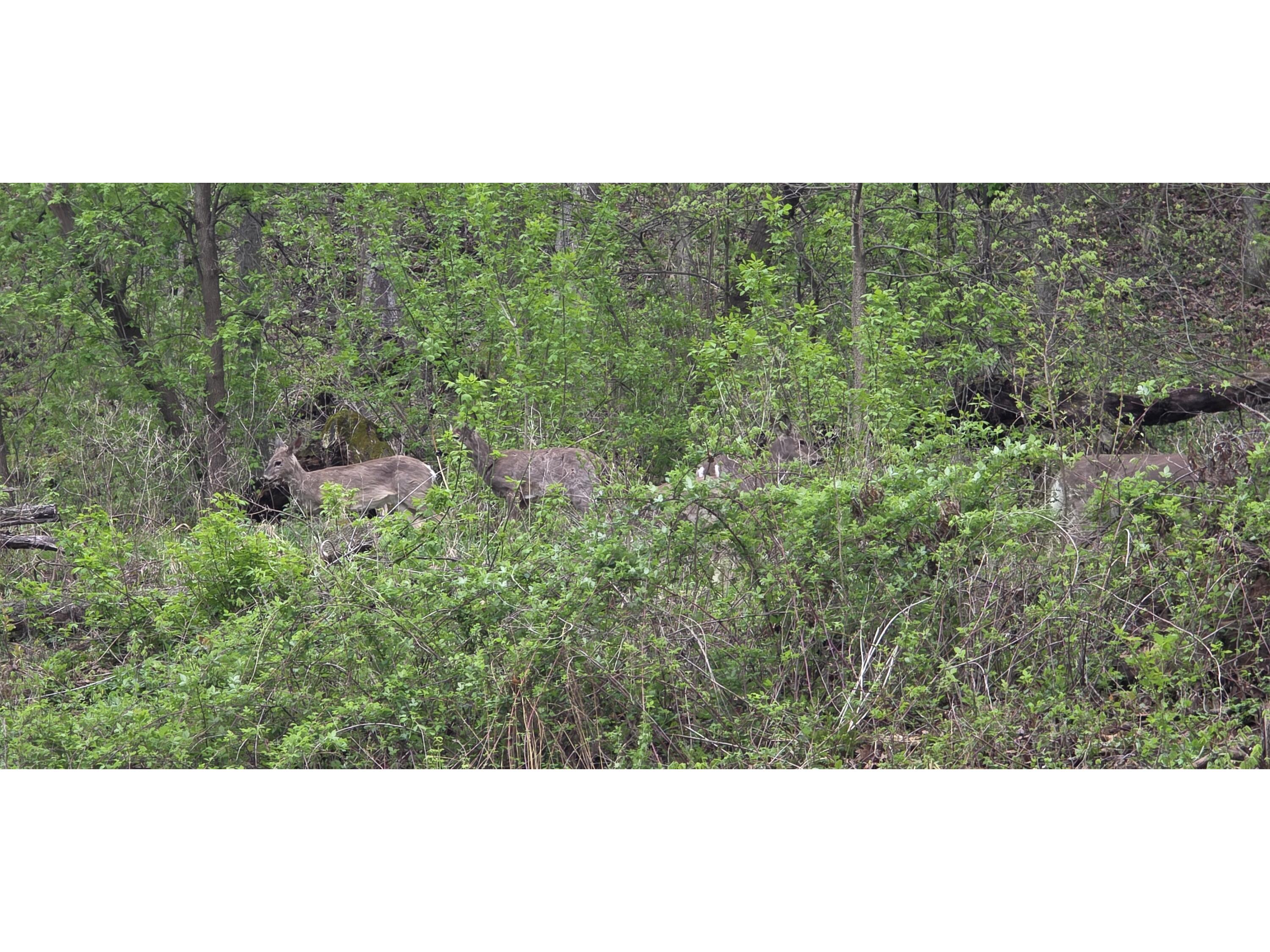 N6316 Three Party Onalaska WI 54636 1963291 image33