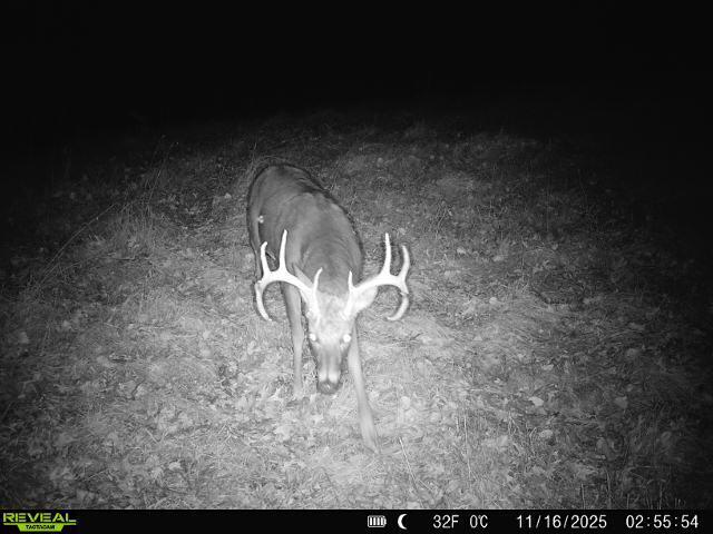 N7003 County Road W Onalaska WI 54636 1965944 image21