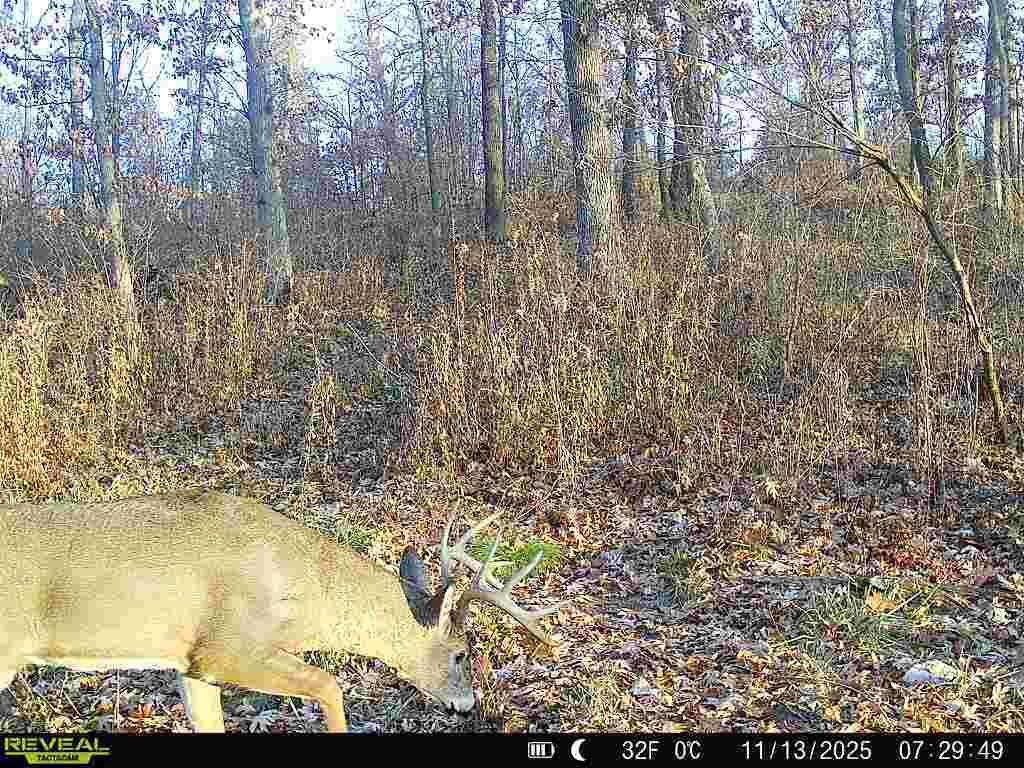 N7003 County Road W Onalaska WI 54636 1965944 image37