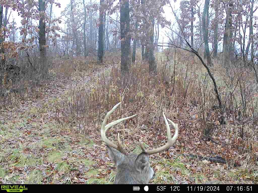 N7003 County Road W Onalaska WI 54636 1965944 image5