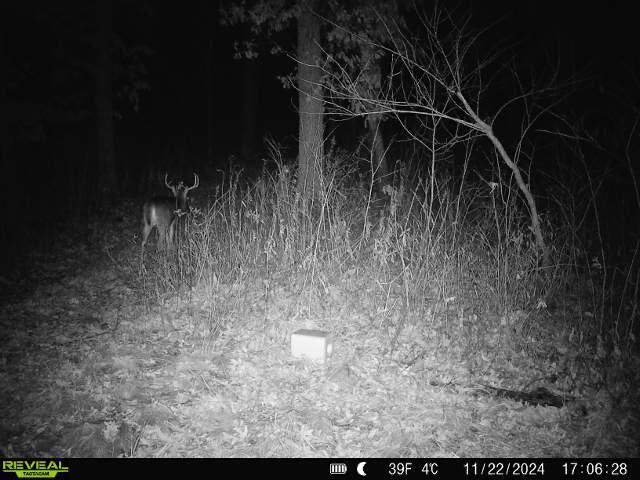 N7003 County Road W Onalaska WI 54636 1965944 image65