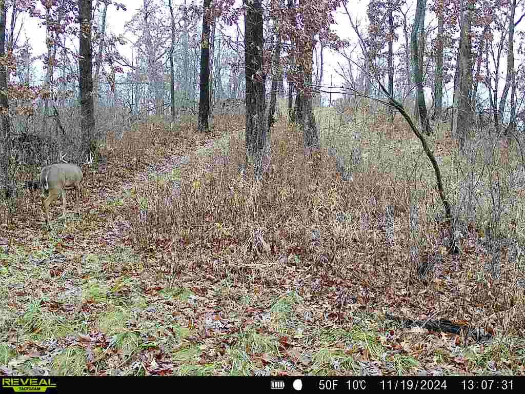 N7003 County Road W Onalaska WI 54636 1965944 image71