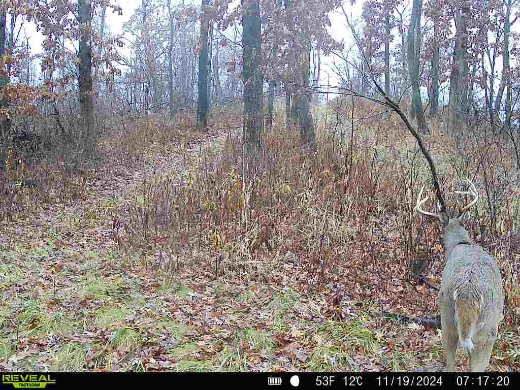 N7003 County Road W Onalaska WI 54636 1965944 image77
