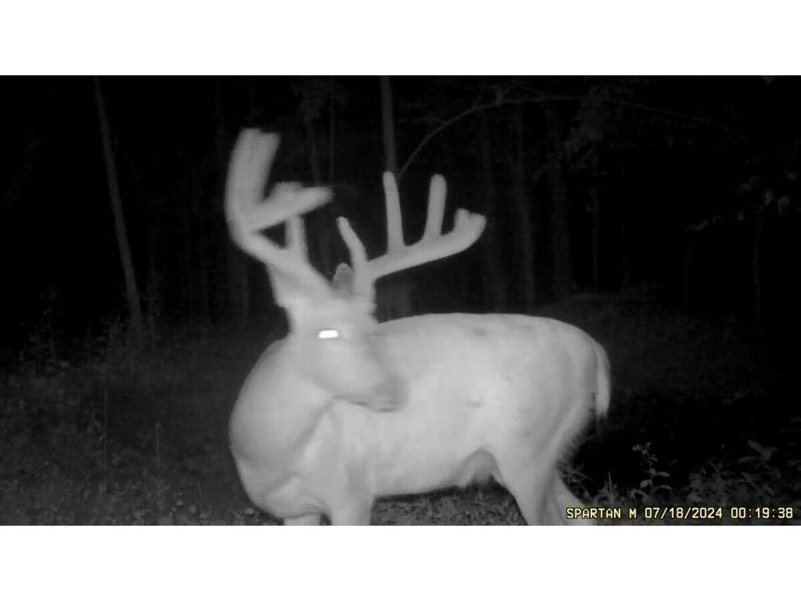 N7534 Skoy Coulee Farmington WI 54644 1956353 image38