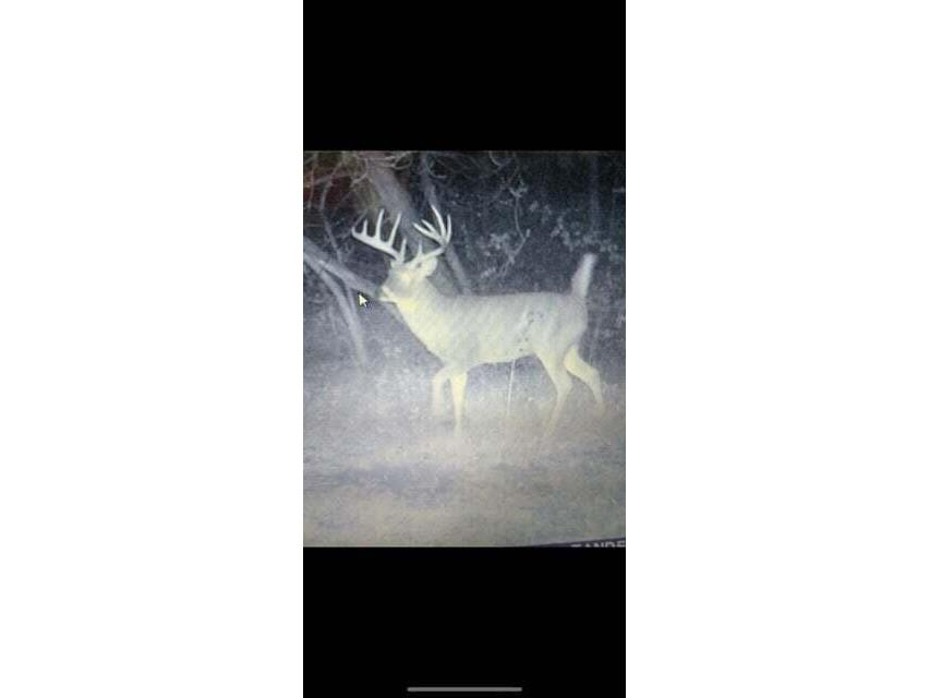 N7534 Skoy Coulee Farmington WI 54644 1956353 image39