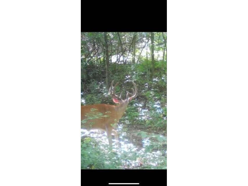 N7534 Skoy Coulee Farmington WI 54644 1956353 image41