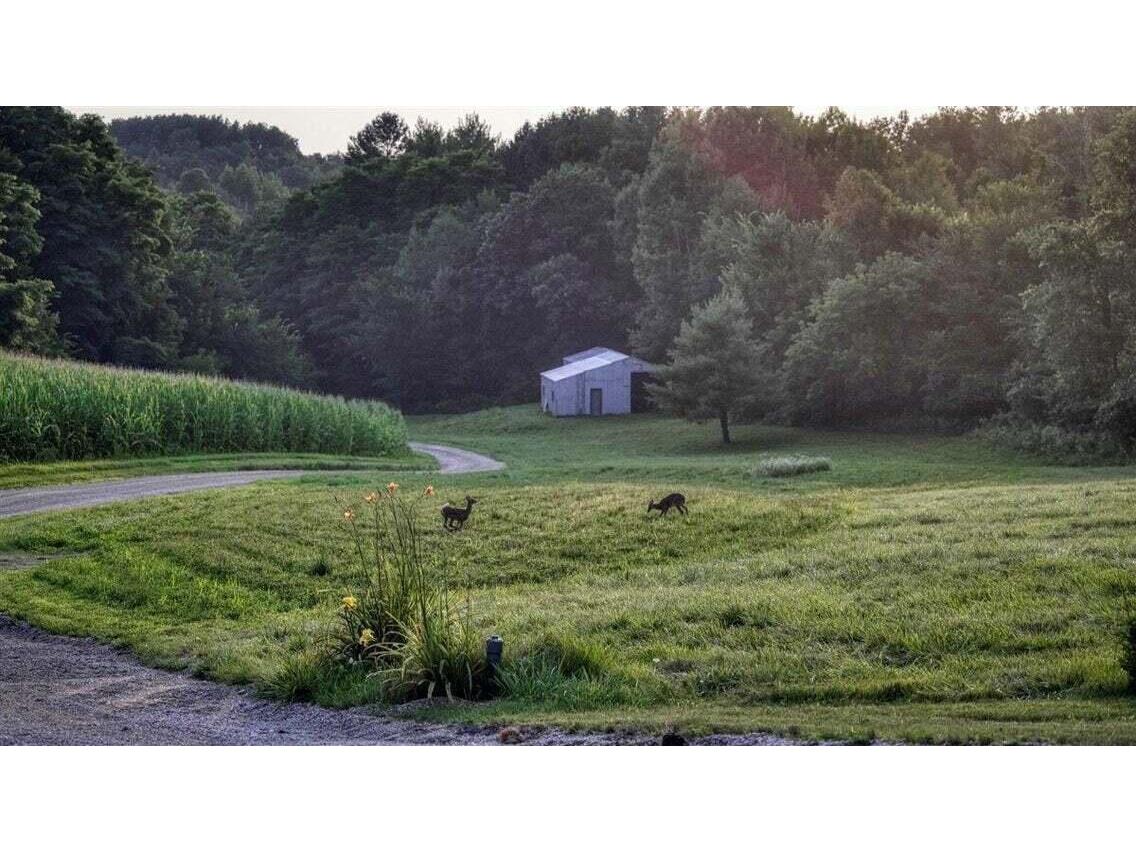 N7534 Skoy Coulee Farmington WI 54644 1956353 image42