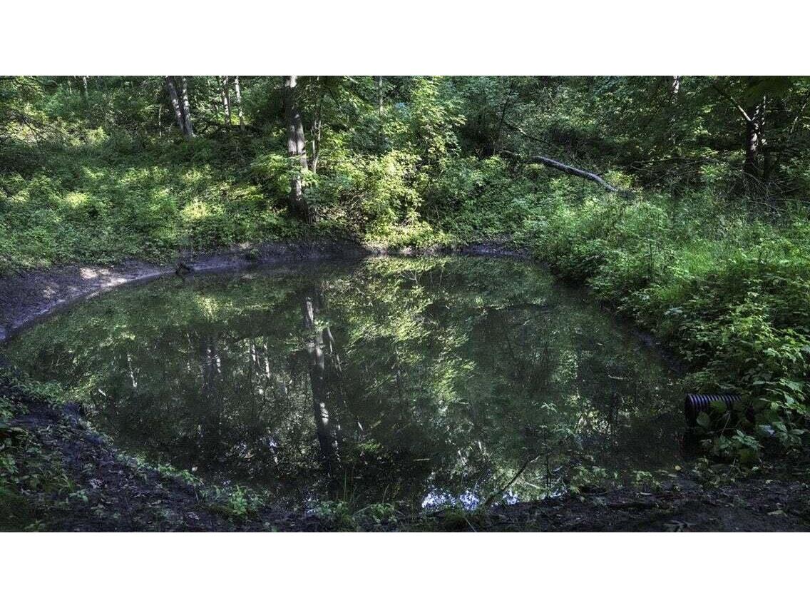 N7534 Skoy Coulee Farmington WI 54644 1956353 image46