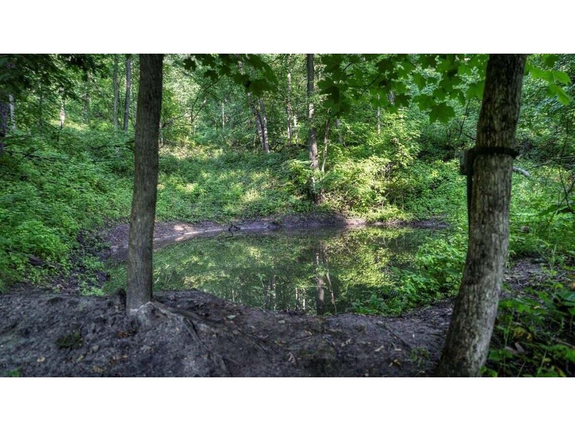 N7534 Skoy Coulee Farmington WI 54644 1956353 image47