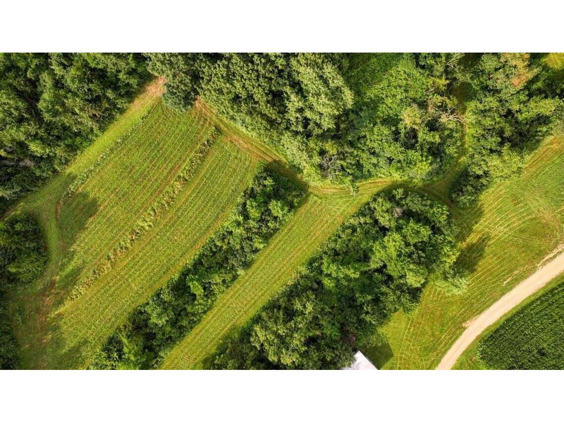 N7534 Skoy Coulee Farmington WI 54644 1956353 image48