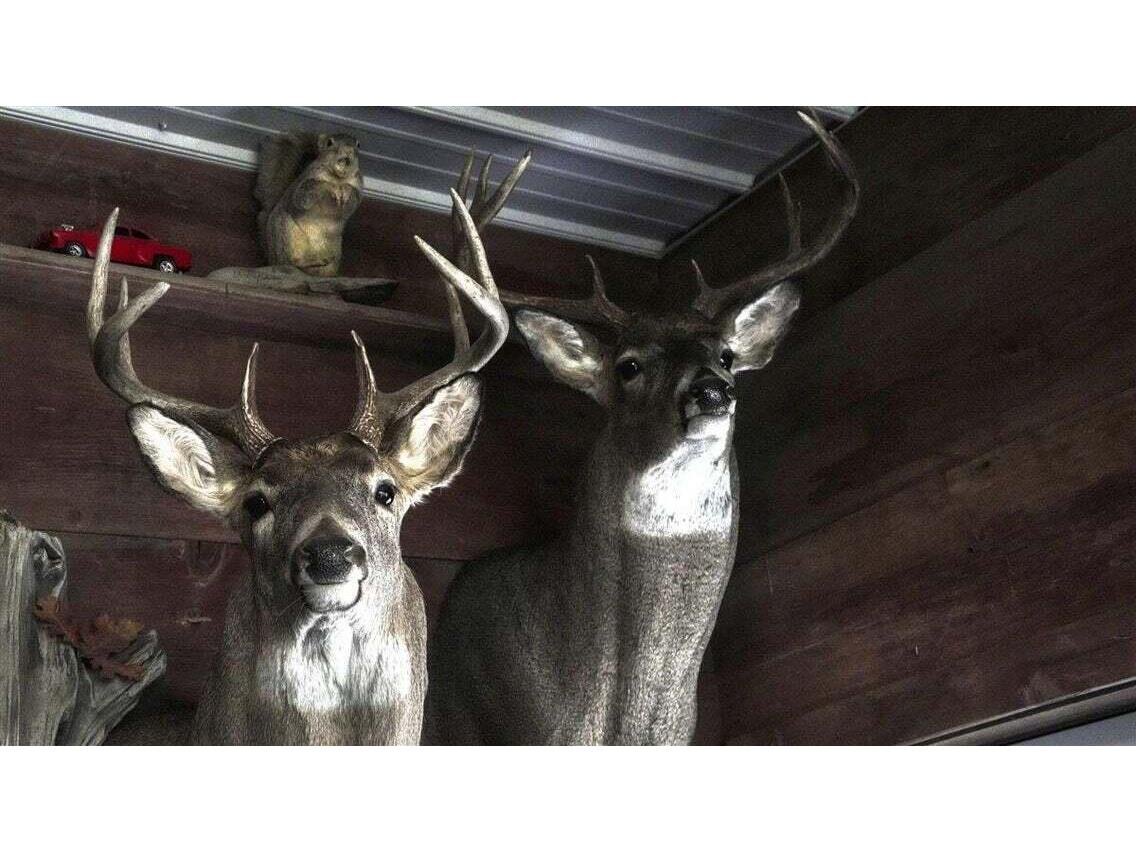 N7534 Skoy Coulee Farmington WI 54644 1956353 image49