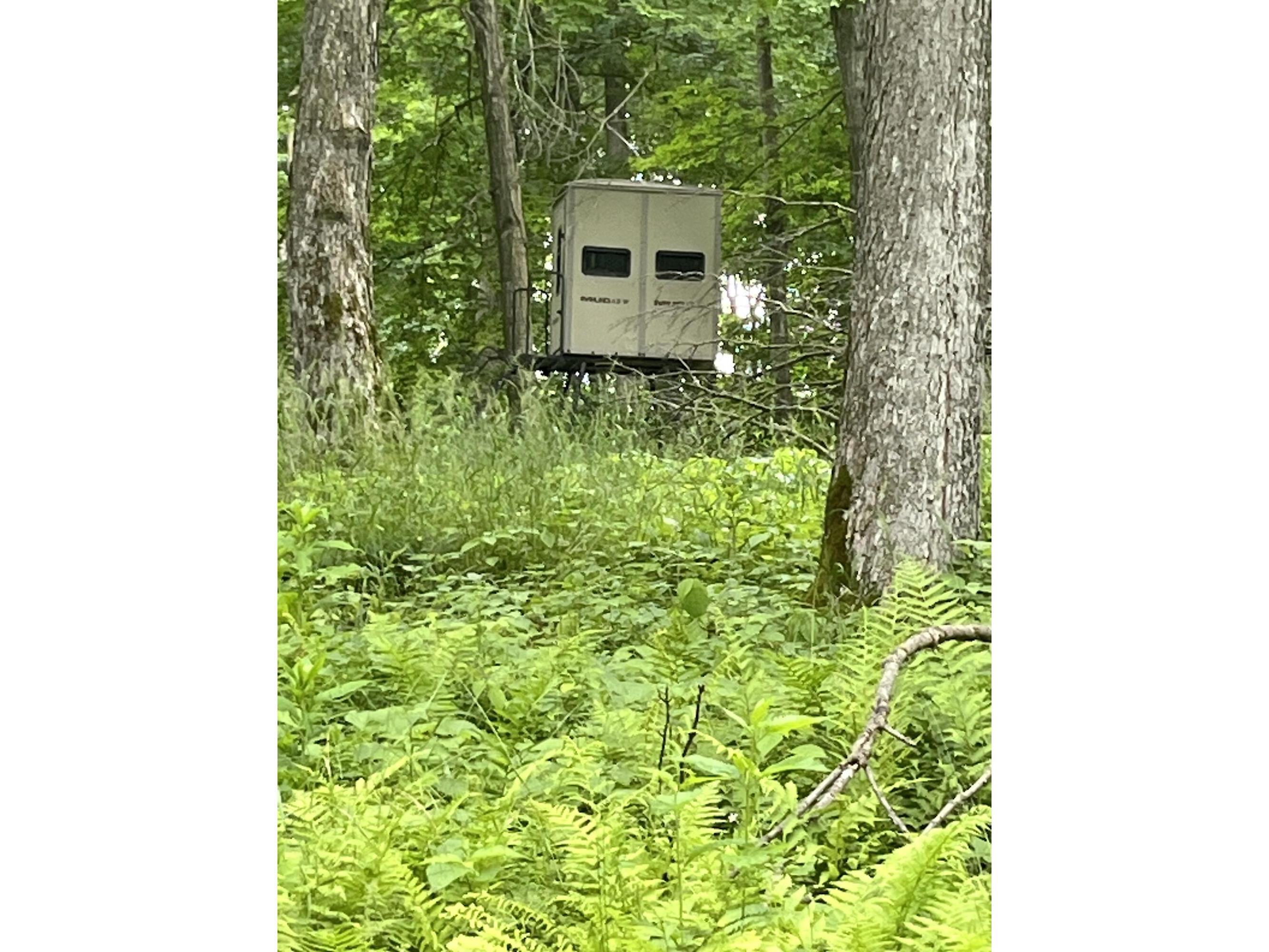 N8221 West Line Birnamwood WI 54499 - CREEK 1924374 image1