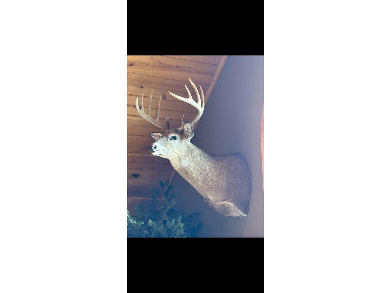 N8718 County Road Vv Farmington WI 54644 1935085 image49