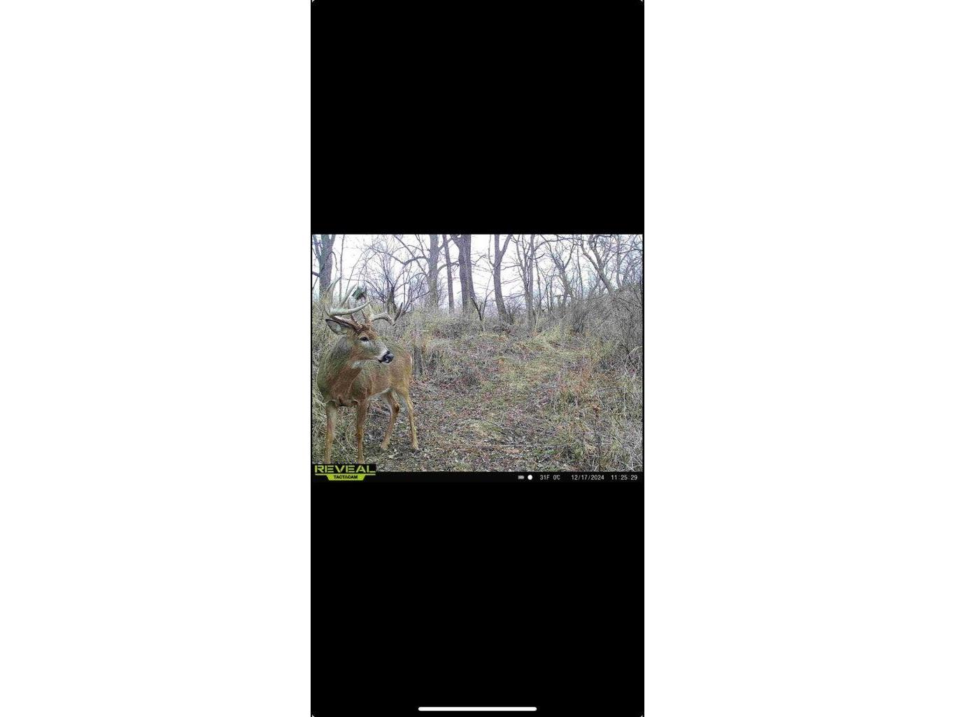 N8718 County Road Vv Farmington WI 54644 1935085 image50