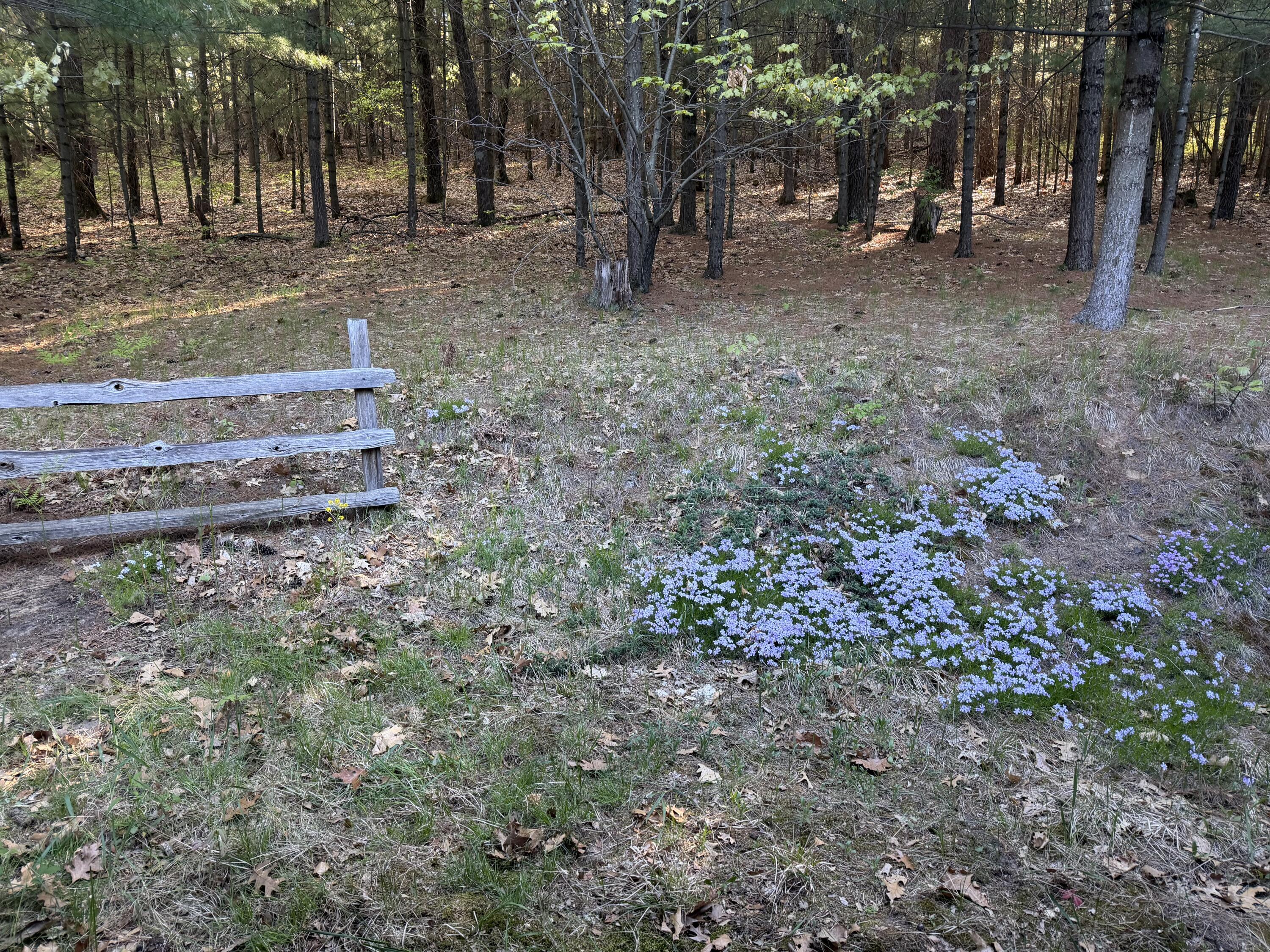 N8962 State Road 162 Burns WI 54644 1959006 image60