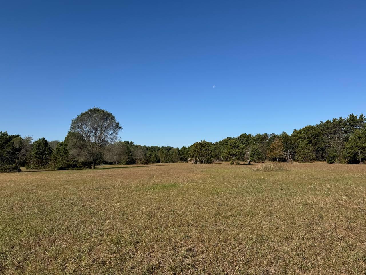 N9298 Mark Holland WI 54636 1938845 image1