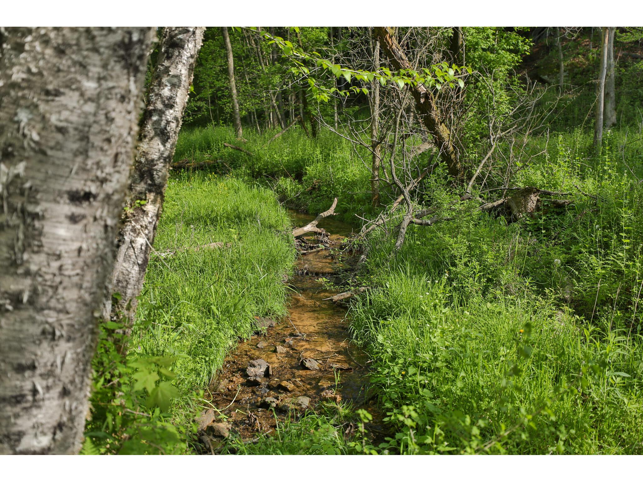 N971 Pekala Seven Mile Creek WI 53948 1964073 image16