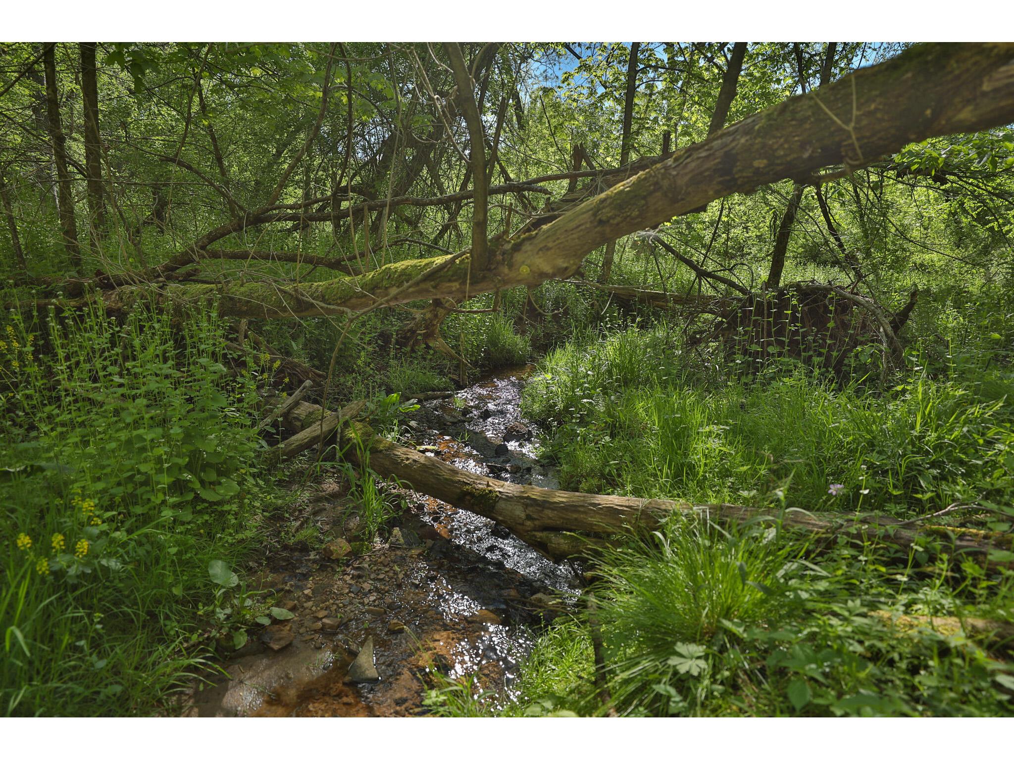 N971 Pekala Seven Mile Creek WI 53948 1964073 image17