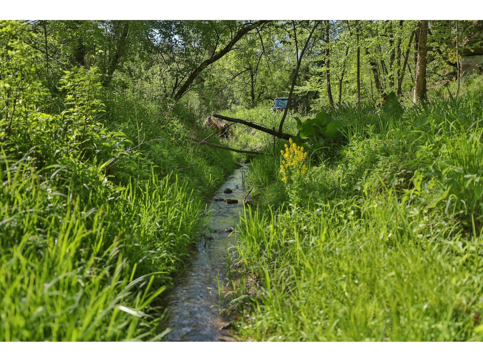 N971 Pekala Seven Mile Creek WI 53948 1964073 image18