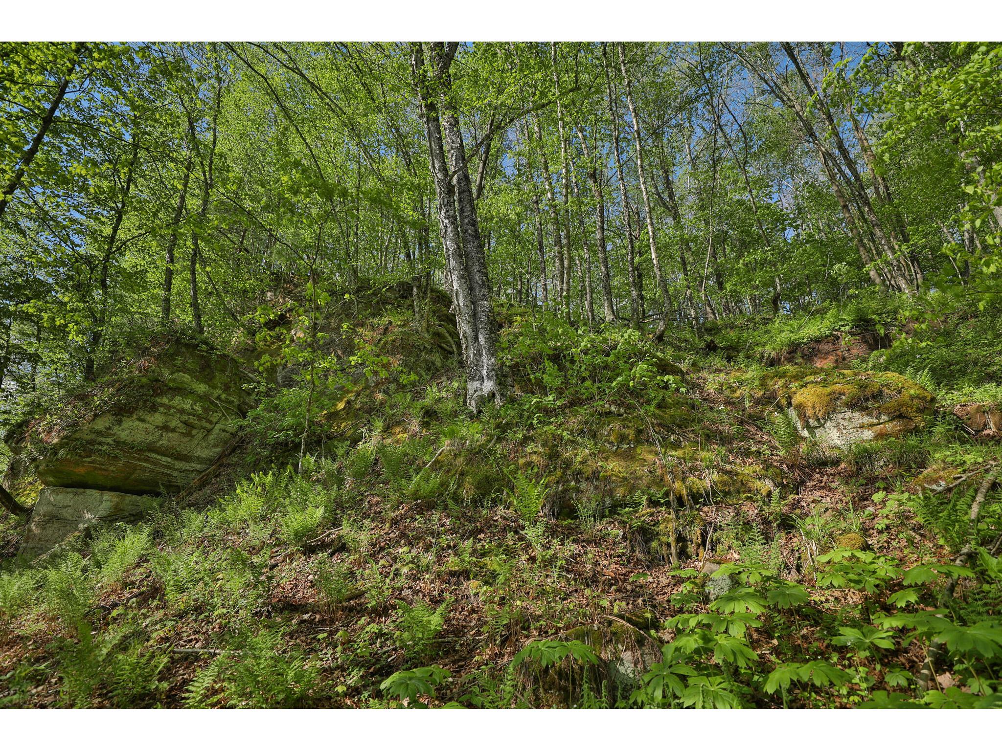 N971 Pekala Seven Mile Creek WI 53948 1964073 image21