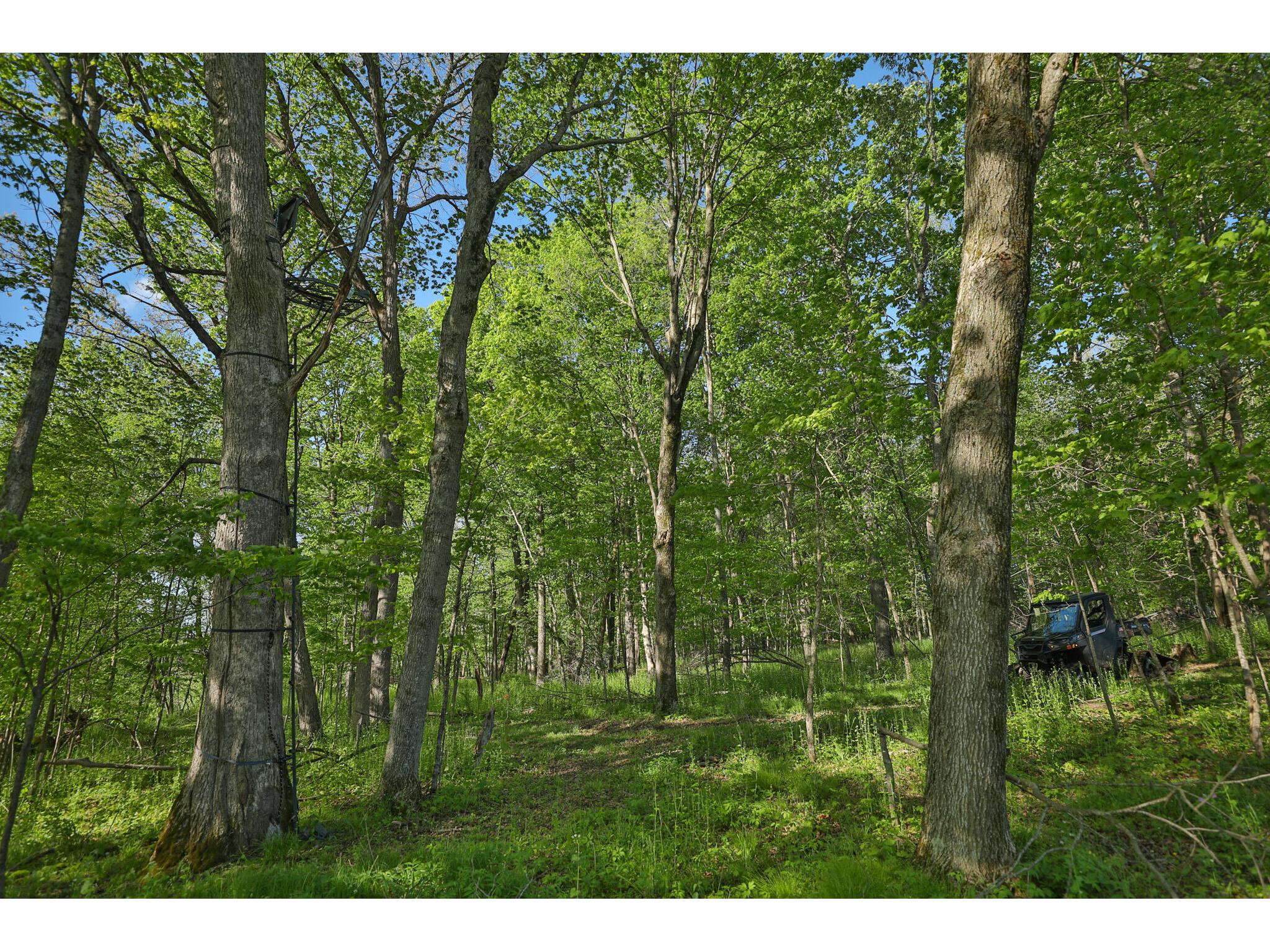 N971 Pekala Seven Mile Creek WI 53948 1964073 image24