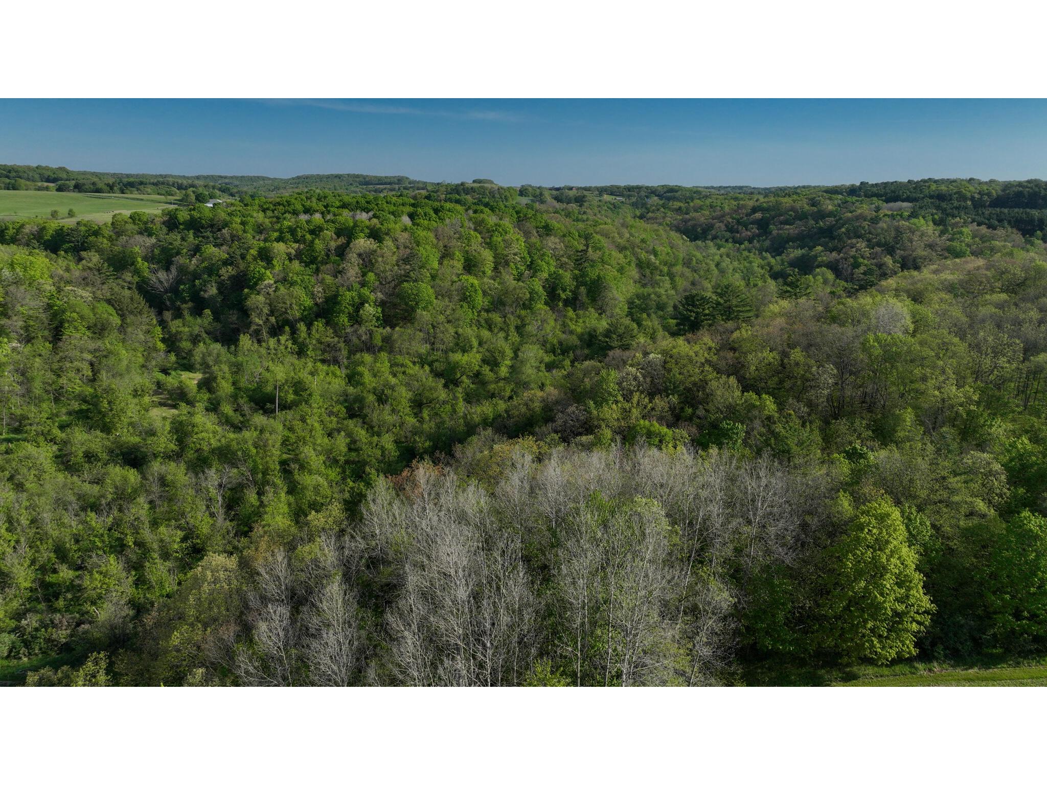 N971 Pekala Seven Mile Creek WI 53948 1964073 image33