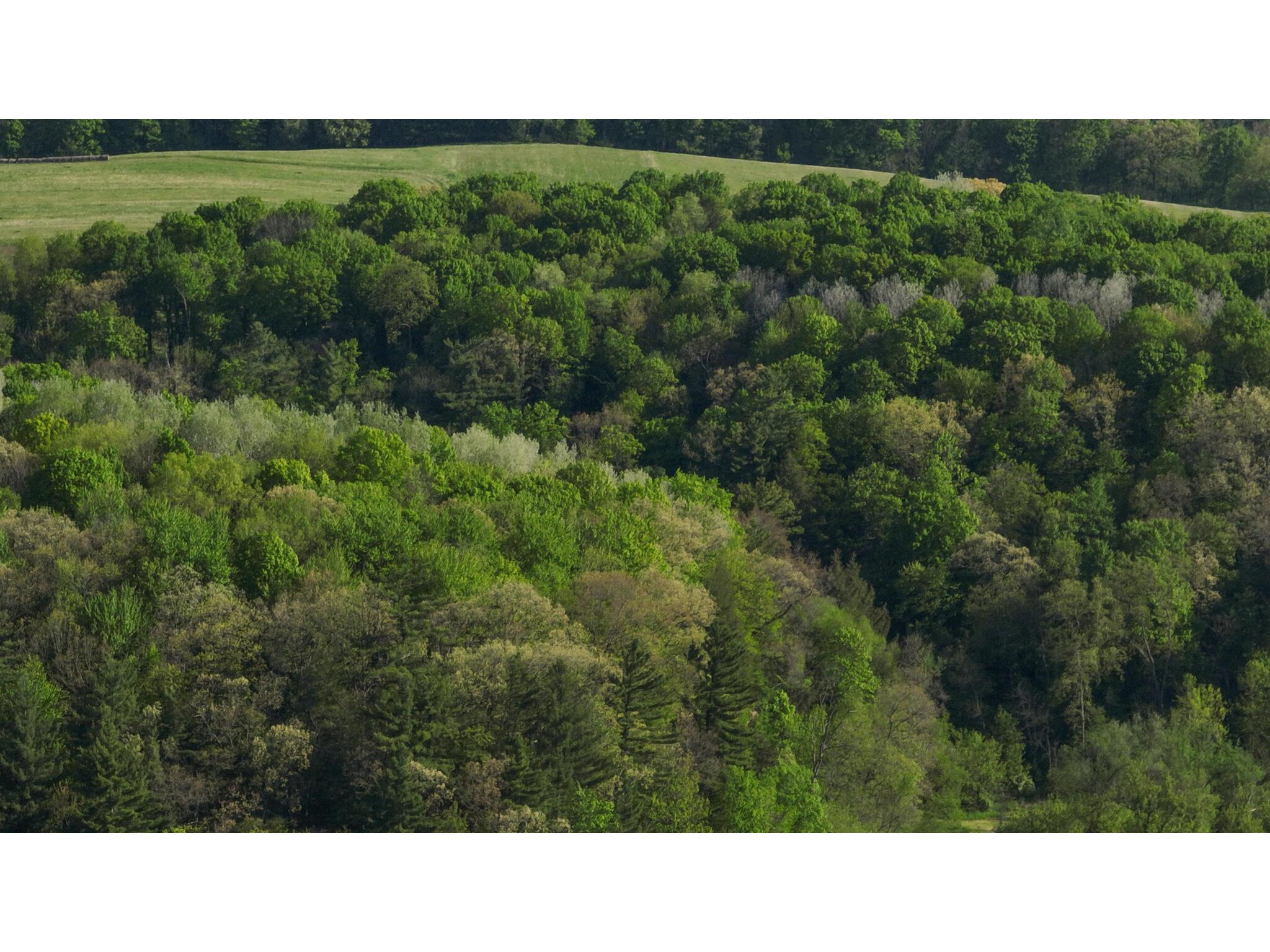 N971 Pekala Seven Mile Creek WI 53948 1964073 image34