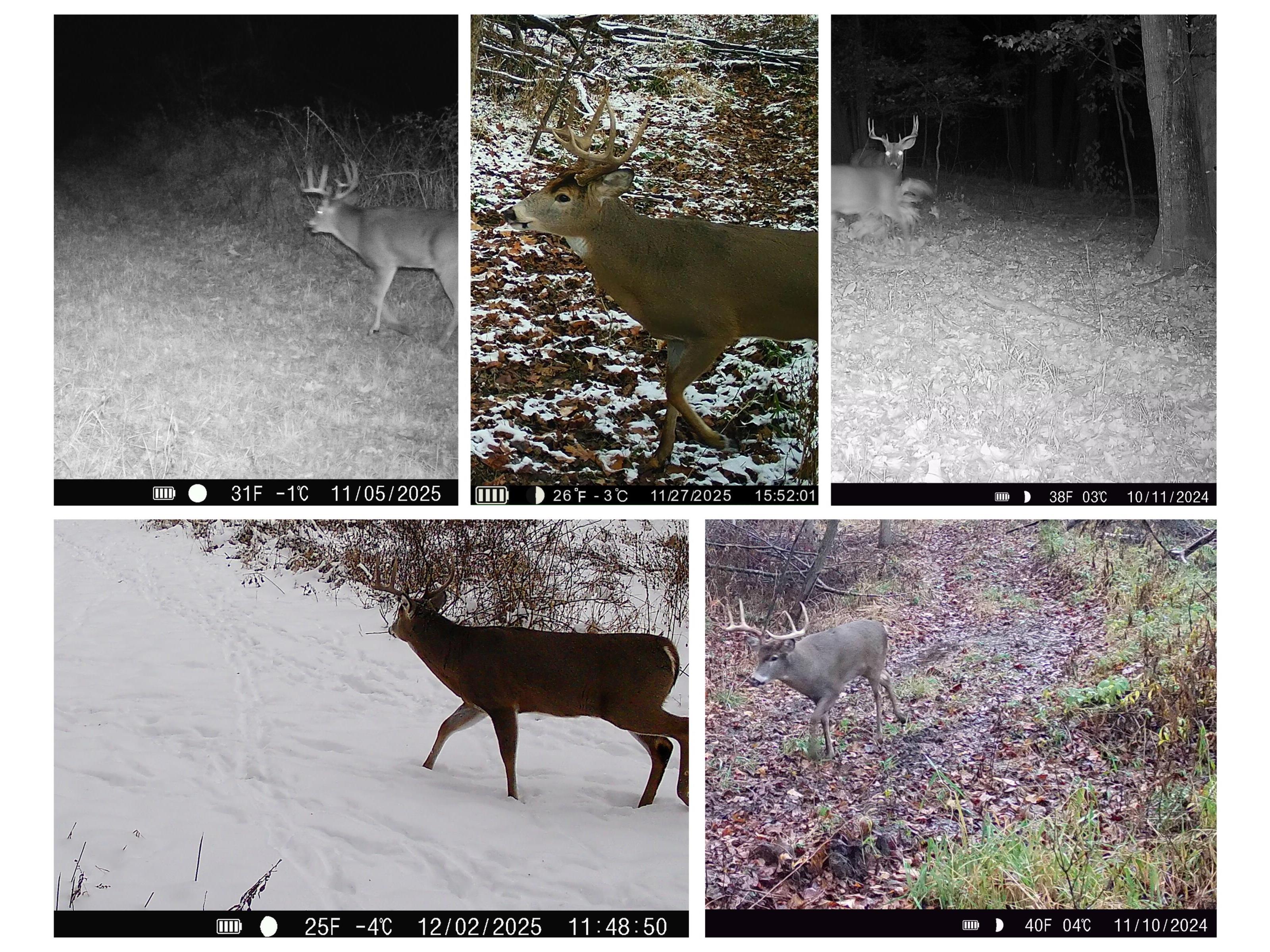 N971 Pekala Seven Mile Creek WI 53948 1964073 image36