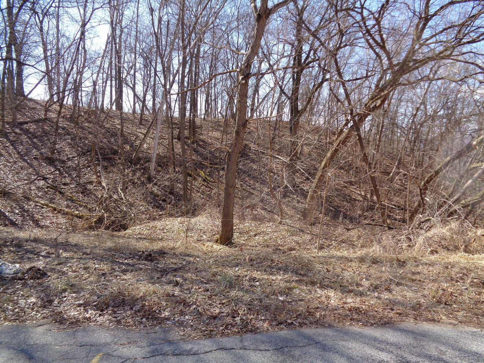 Red Oak Onalaska WI 54650 1785685 image1