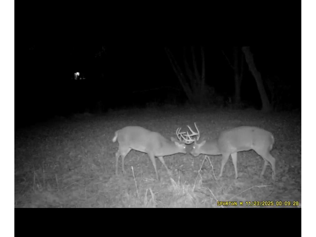 S1689 County Road XX Lincoln WI 54610 1965100 image36