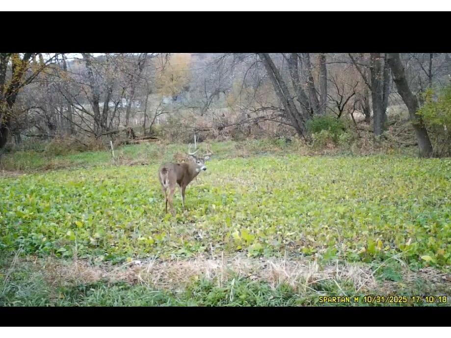 S1689 County Road XX Lincoln WI 54610 1965100 image37