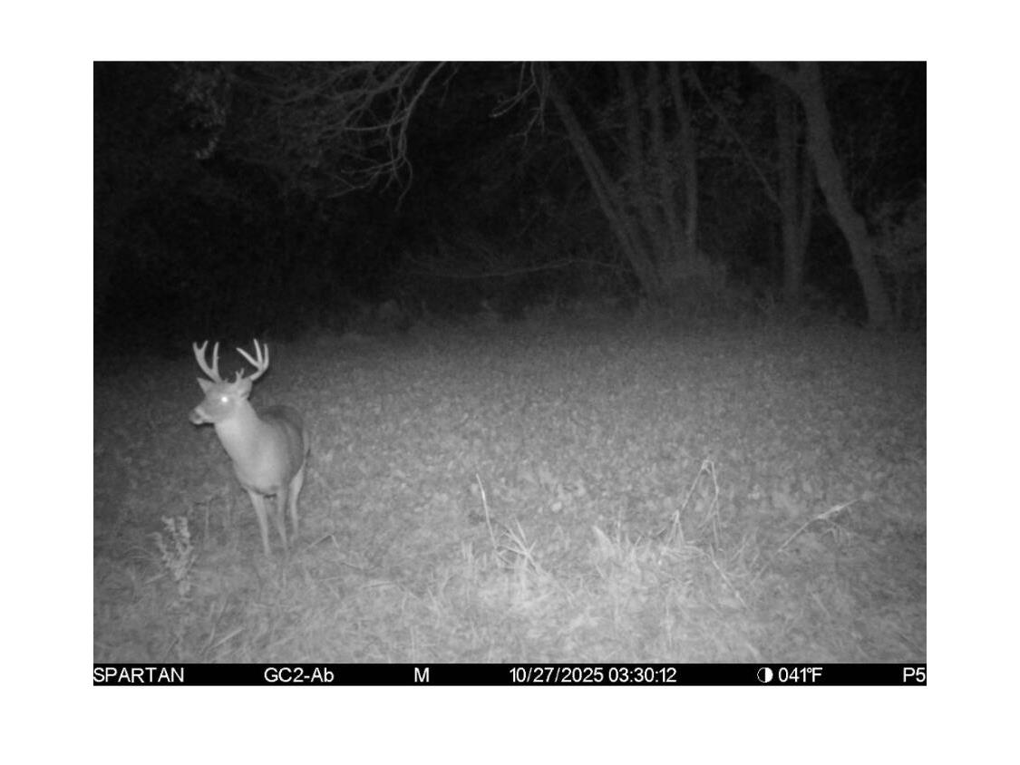 S1689 County Road XX Lincoln WI 54610 1965100 image38