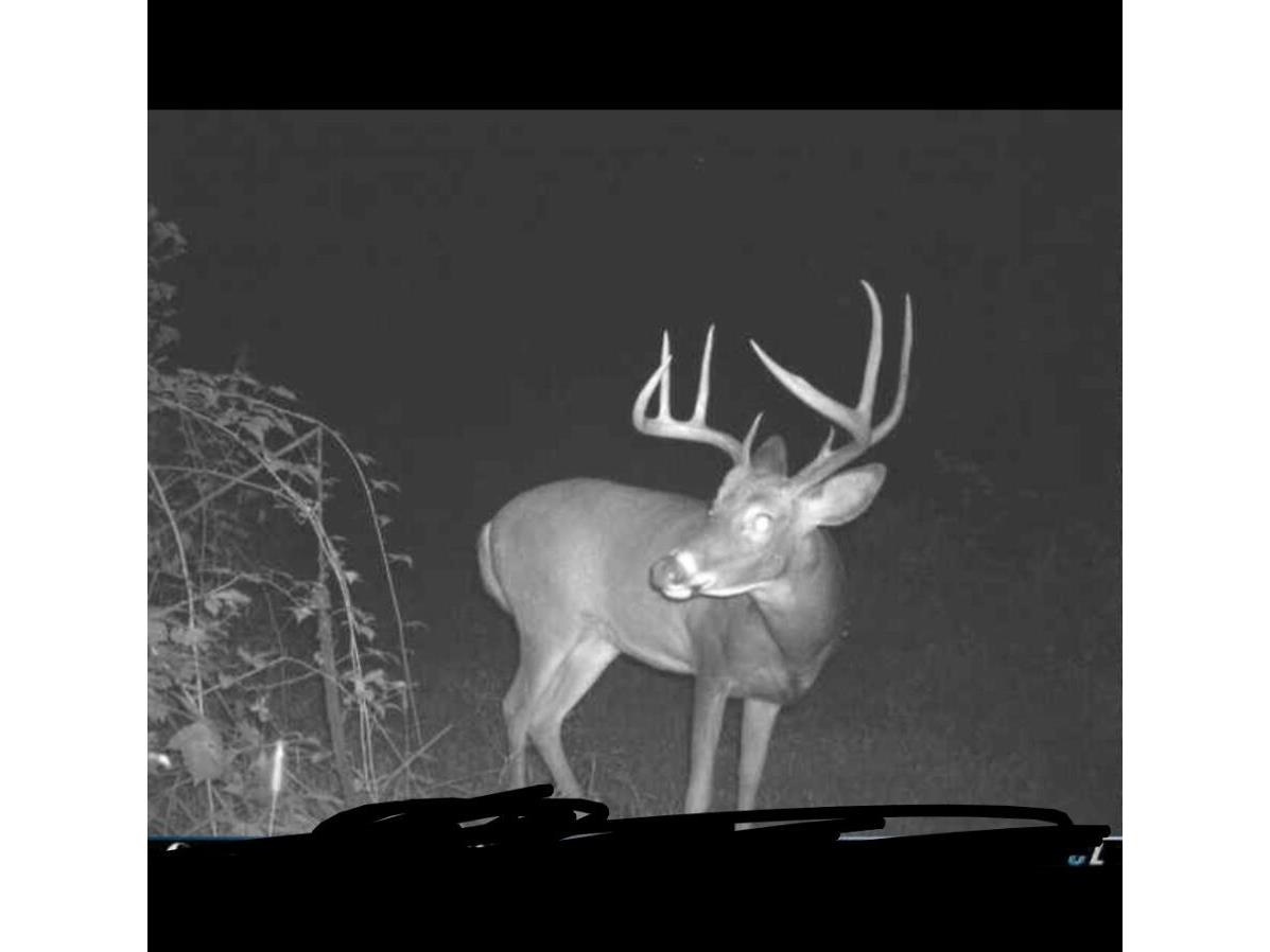 S1689 County Road XX Lincoln WI 54610 1965100 image39