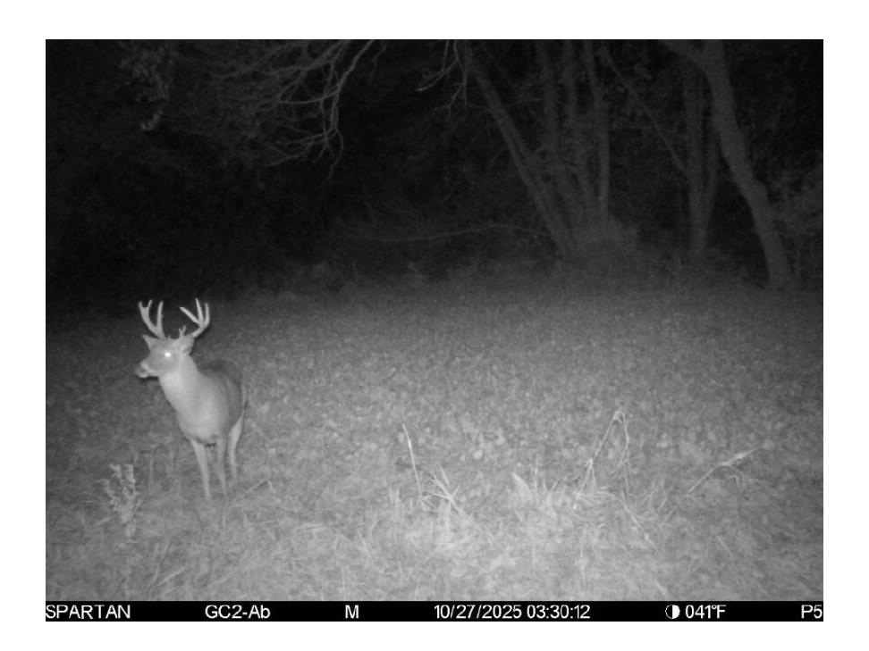 S1689 County Road XX Lincoln WI 54610 1965100 image41