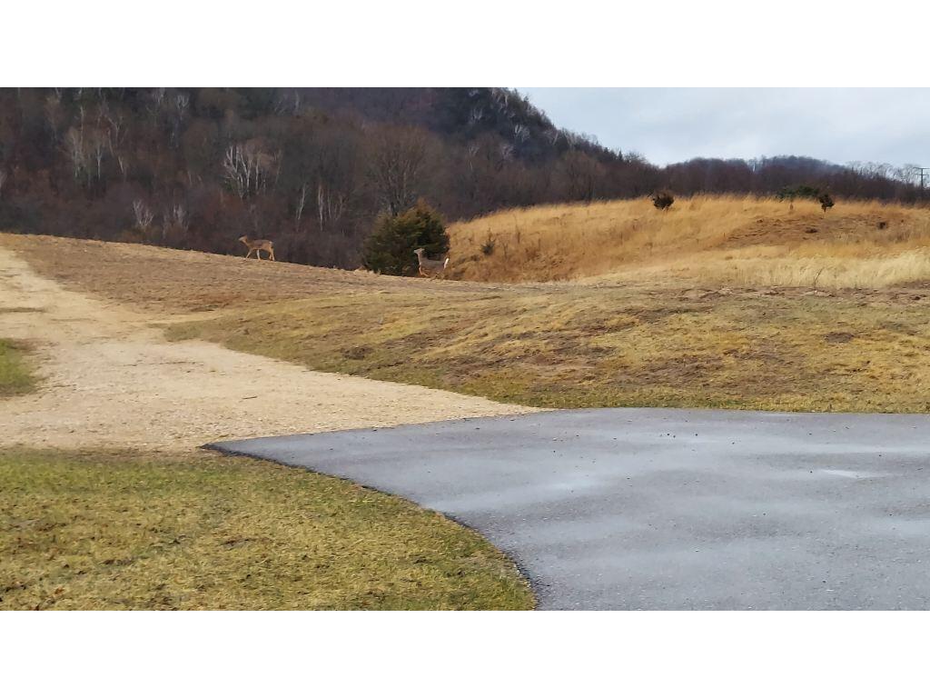 S2901 Semling Milton WI 54629 1914612 image27