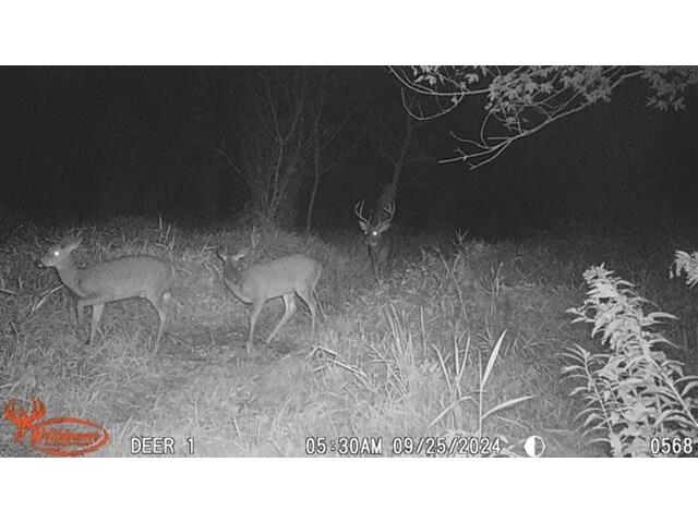 S2986 Barth Cross WI 54629 1939308 image12