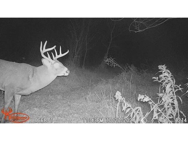 S2986 Barth Cross WI 54629 1939308 image16